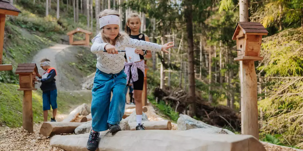 Waldwichtelweg © TVB Osttirol / Elias Bachmann
