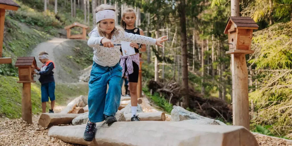 Waldwichtelweg © TVB Osttirol / Elias Bachmann
