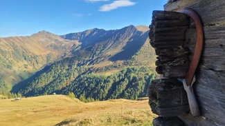 Schupfe auf der hohen Alm