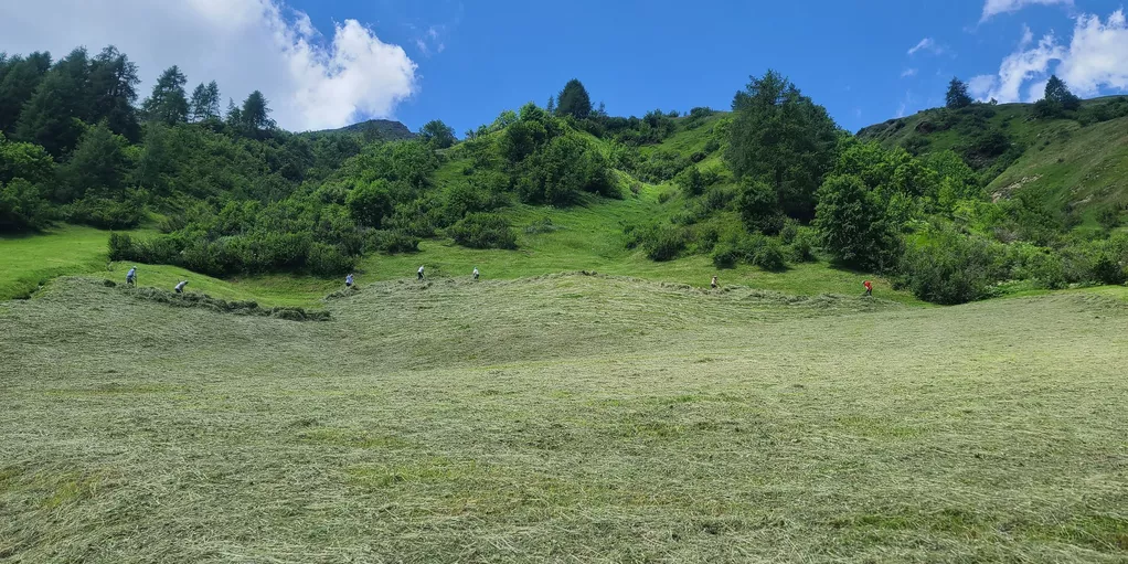 Villgratental Bergbauernhof Heuernte