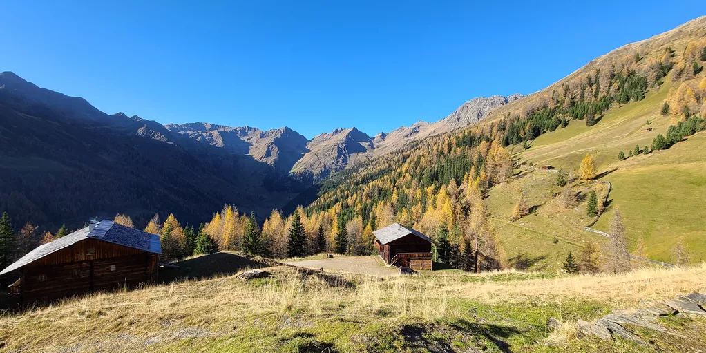 Villgratental Kamelisenalm Herbstleuchten