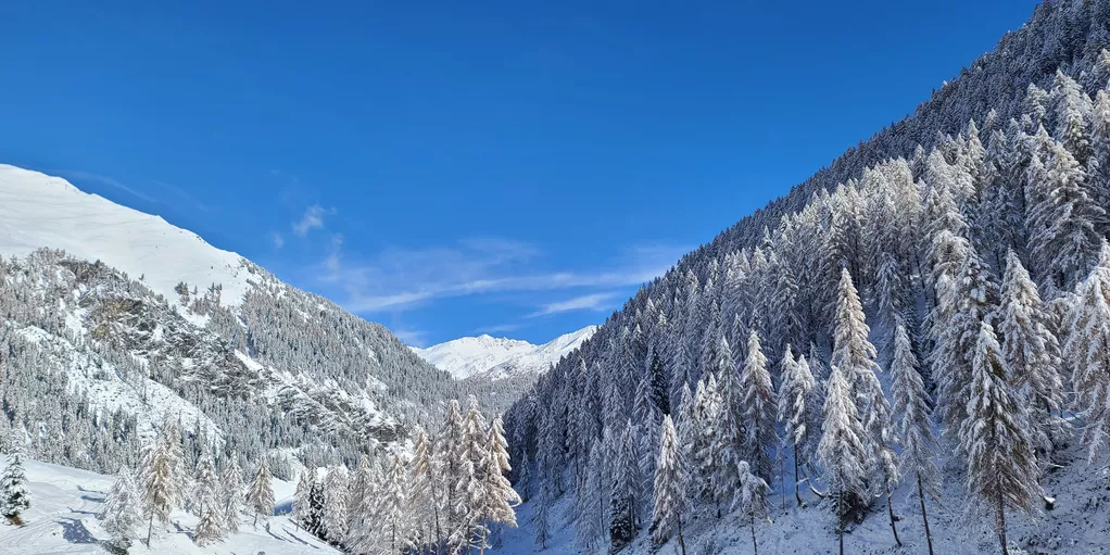 Villgratental Alfenalm im Winter